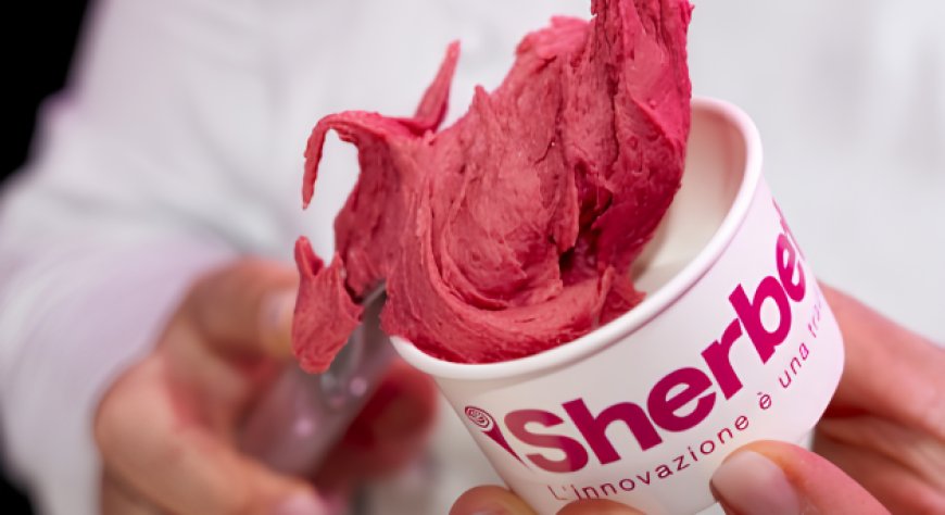 Gelato artigianale, la ricerca scientifica al centro di un nuovo progetto con il CNR