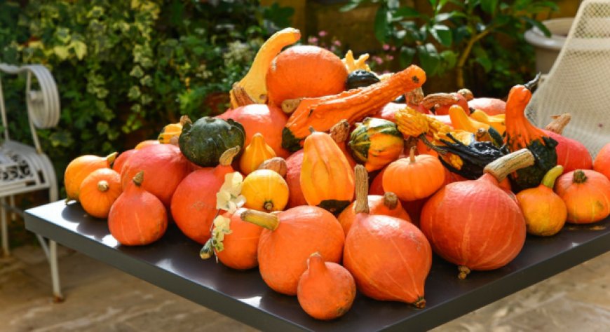 Zucca in cucina: scegliere la varietà giusta può cambiare resa e food cost