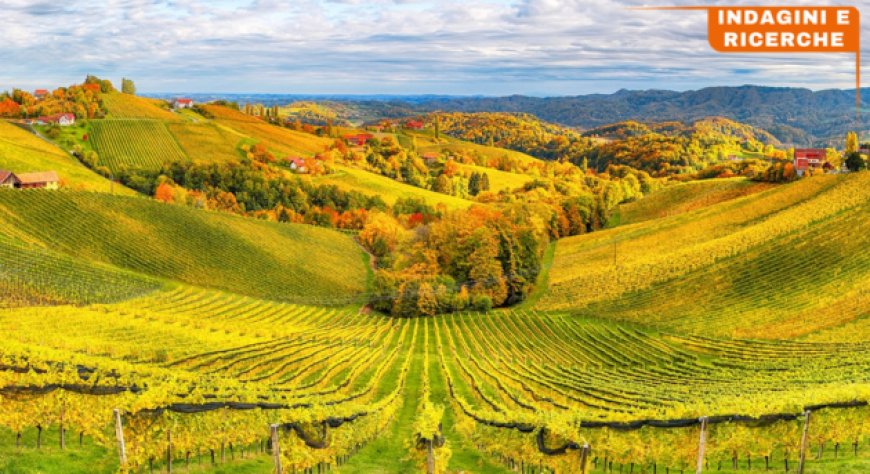 TEHA accende i riflettori sulle sfide del vino italiano tra mercato e innovazione