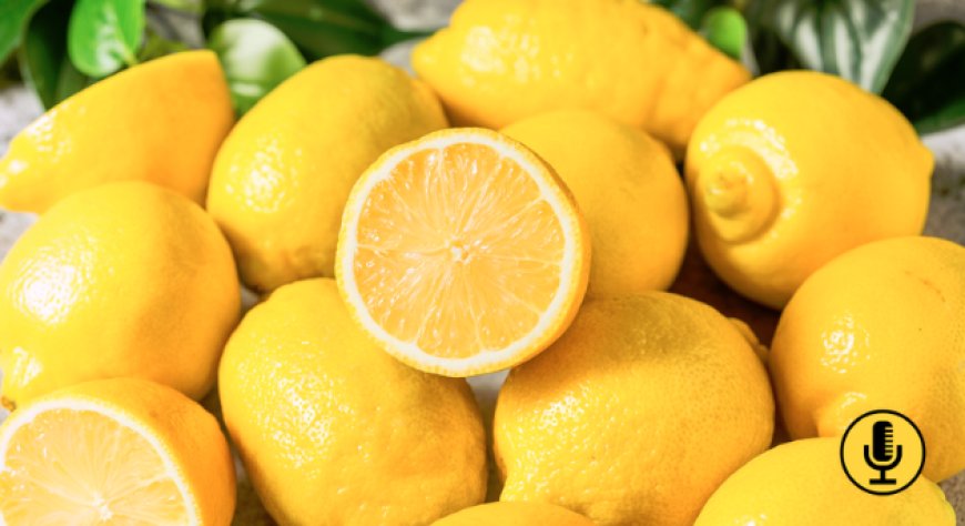 Il Codice Sensoriale Limone: come si valutano aromi e sapori