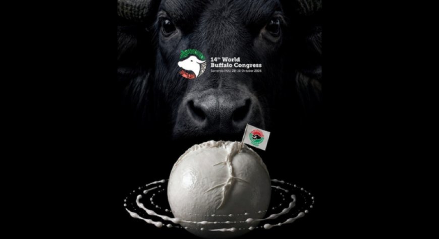 World Buffalo Congress 2026 a Sorrento con 283 contributi scientifici da oltre venti Paesi