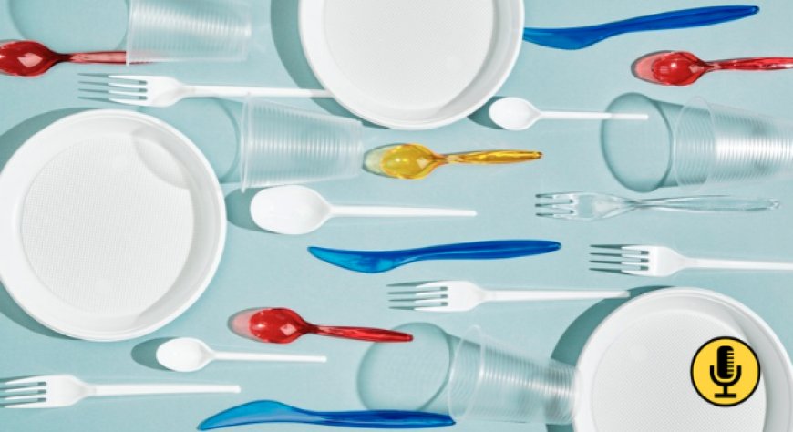Stoviglie riutilizzabili: nuove regole e verifiche sulle forniture per l'Horeca