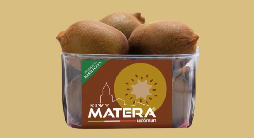 Nicofruit avvia la stagione del kiwi giallo Kiwy Matera