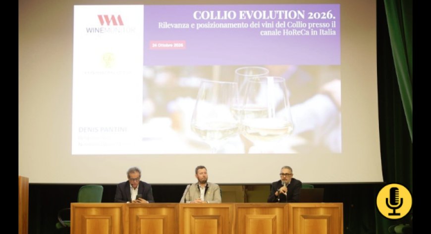 I vini del Collio si confermano un riferimento per l’Horeca: la ricerca Nomisma