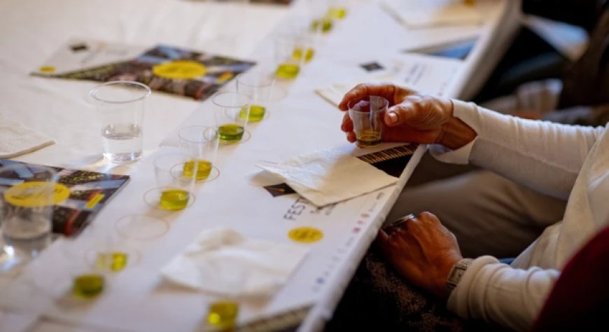 FestivOl 2026: olio nuovo, chef e degustazioni protagonisti a Trevi
