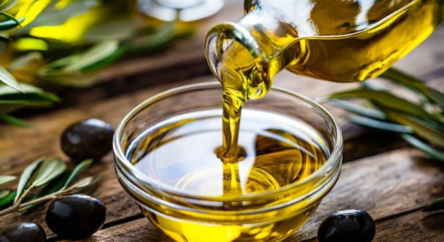Olio d'oliva, ISMEA stanzia 40 milioni per i frantoi. ASSITOL chiede interventi per la filiera