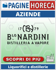 Distilleria Nardini Spa      