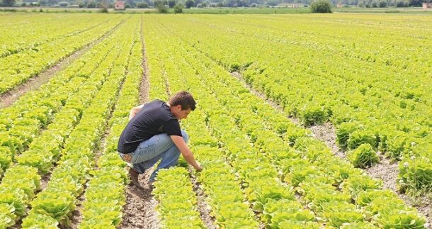 Agricoltura Emilia-Romagna