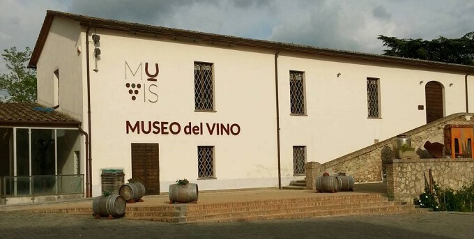Muvis, museo del vino