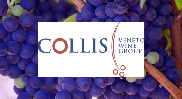 Collis Veneto Wine Group