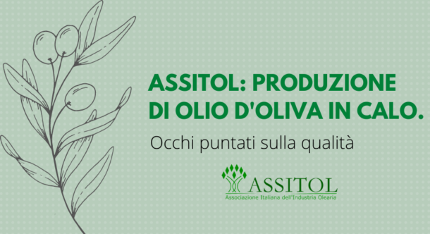 Assitol: produzione di olio d'oliva in calo. Occhi puntati sulla qualità