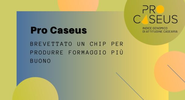 Pro Caseus: brevettato un chip per produrre formaggio più buono