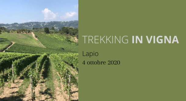 A Lapio torna il Trekking in Vigna