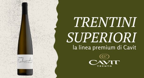 Trentini Superiori: la linea premium di Cavit