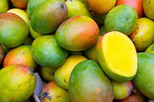 In Sicilia si coltiva il mango "made in Italy"
